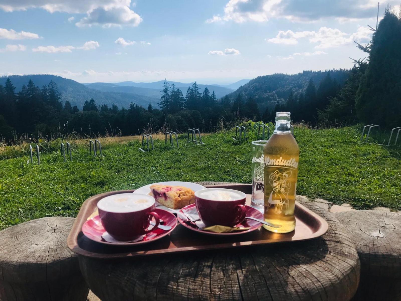 Ferienhaus Robin Titisee-Neustadt Εξωτερικό φωτογραφία