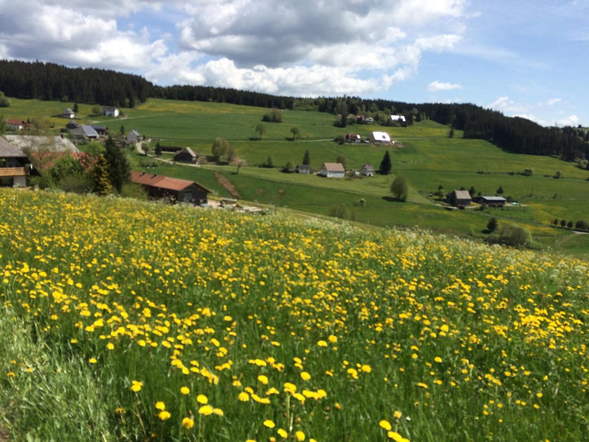 Ferienhaus Robin Titisee-Neustadt Εξωτερικό φωτογραφία