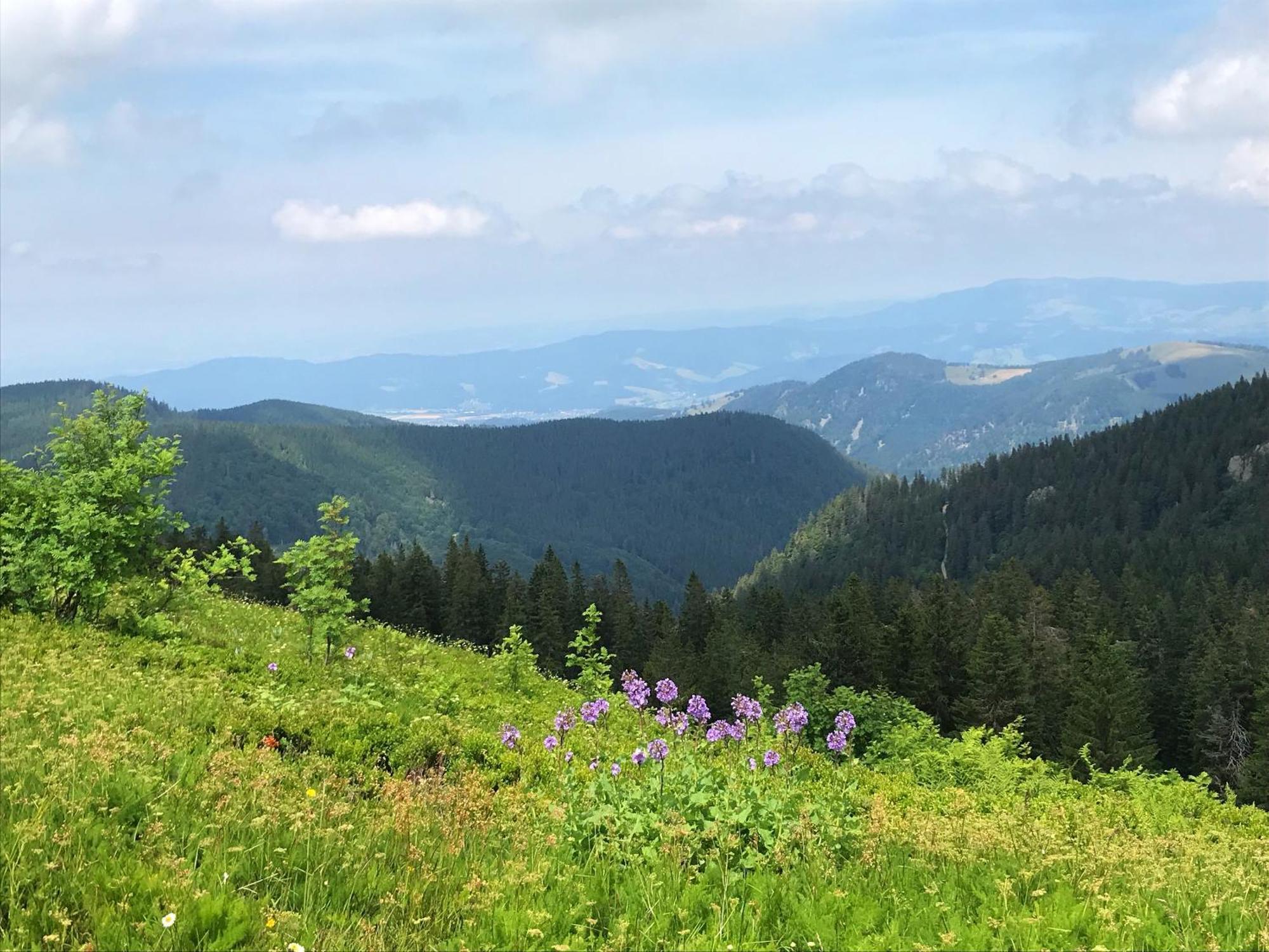 Ferienhaus Robin Titisee-Neustadt Εξωτερικό φωτογραφία